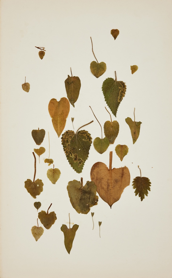 Terhi Heino Tykkäys 2024 kollaasi